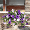 🔥Spring Faux Petunias Silk Flower UV Resistant No Fade Floral 🔥Spring Faux Petunias Silk Flower UV Resistant No Fade Floral