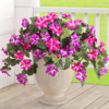 🔥Spring Faux Petunias Silk Flower UV Resistant No Fade Floral 🔥Spring Faux Petunias Silk Flower UV Resistant No Fade Floral